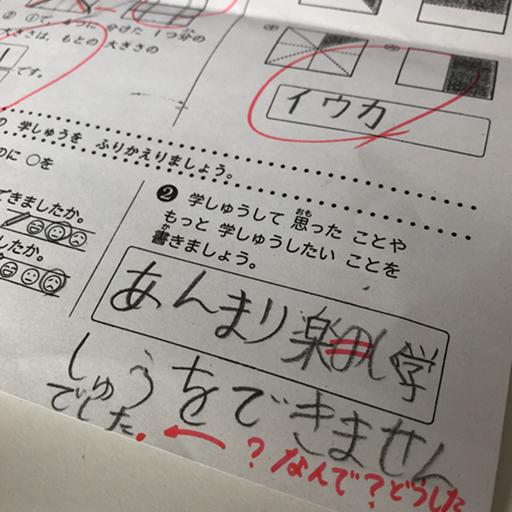『見る力』視覚機能の問題
