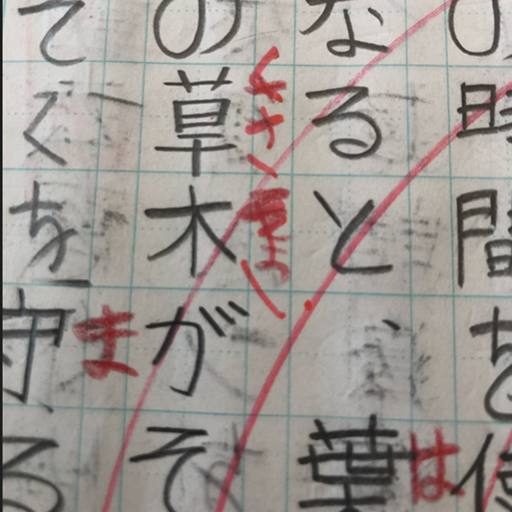 『見る力』視覚機能の問題